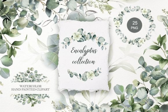 Download Eucalyptus Clipart. Watercolor Greenery - Clipart Collection