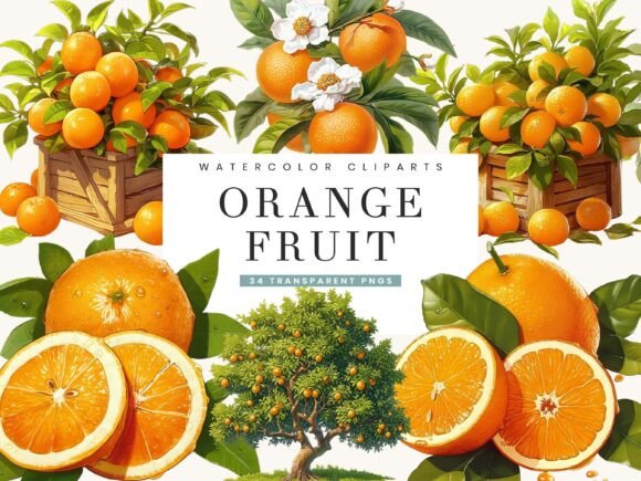 Download Watercolor Italy Orange Fruit Clipart - Clipart Collection